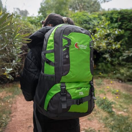 Σακίδιο πλάτης ορειβατικό Ταξιδιού Cardinal 856 70L πράσινο